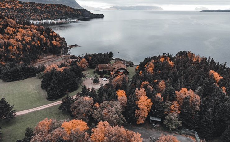 法国移民中介公司